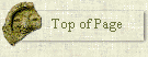 Top of Page